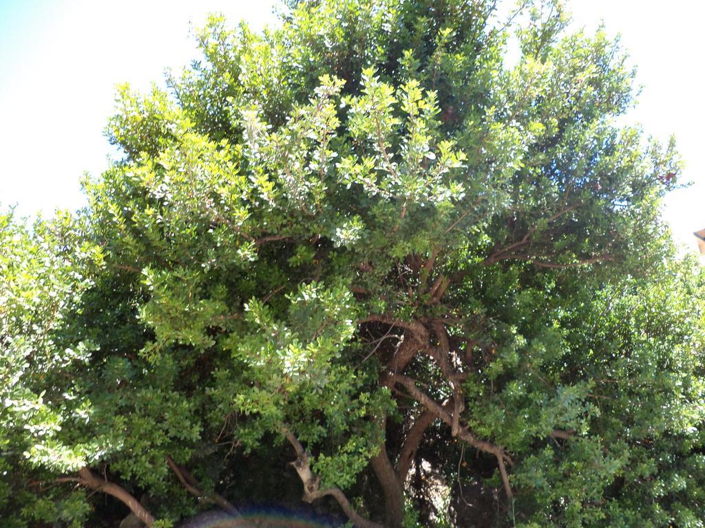 To Kamari Appartement Paralia Agias Foteinis Buitenkant foto